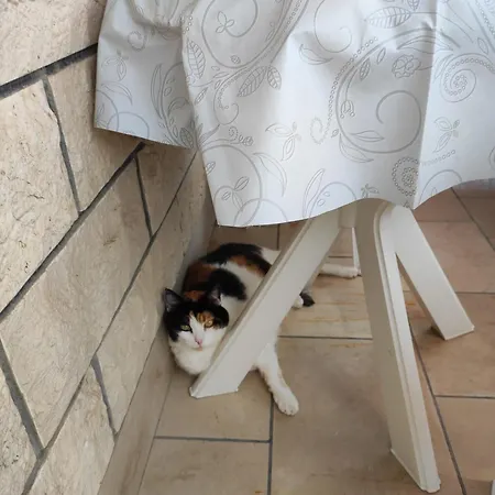 Apartmán Valentino